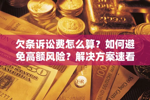 北京欠条诉讼费怎么算？如何避免高额风险？解决方案速看！