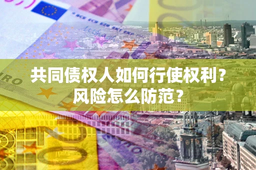 北京共同债权人如何行使权利？风险怎么防范？