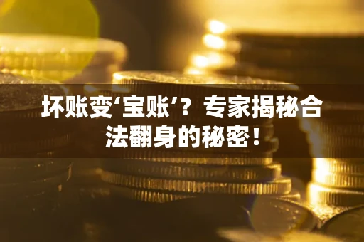 北京坏账变‘宝账’？专家揭秘合法翻身的秘密！