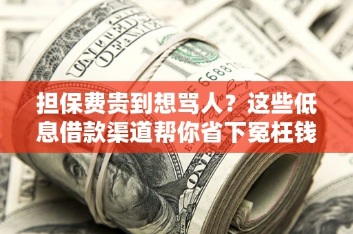 北京担保费贵到想骂人？这些低息借款渠道帮你省下冤枉钱